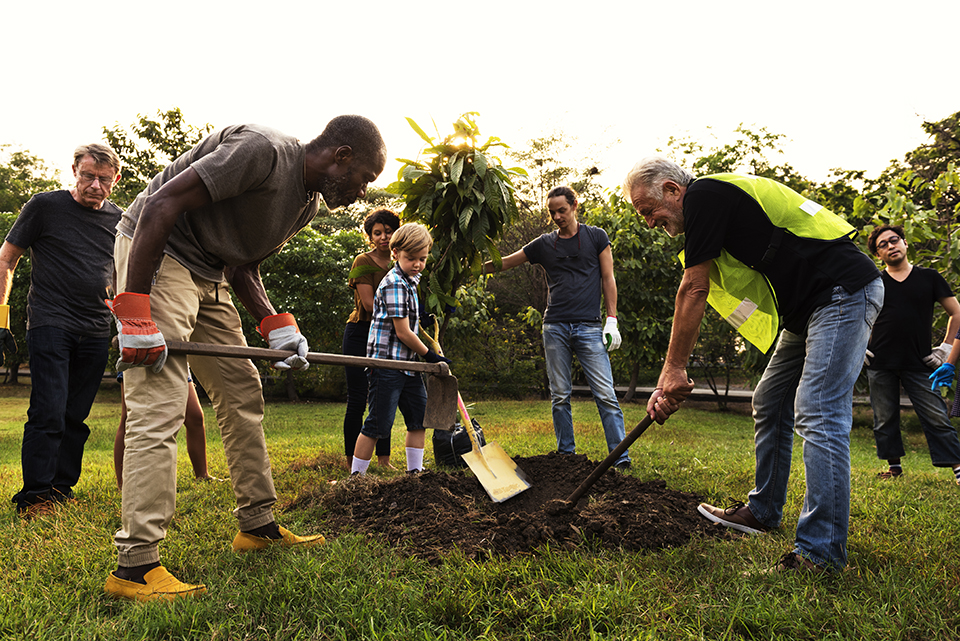Group,Of,Diverse,People,Digging,Hole,Planting,Tree,Together